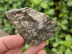 Natural Rare Pharaoh Stone Pyrite Cobbed Specimens x 35 From Iron Duke Mine, Zimbabwe - Toprock Gemstones and Minerals 
