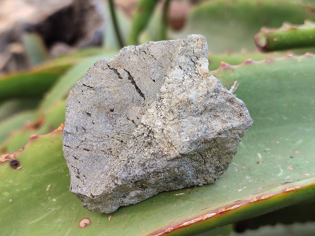 Natural Rare Pharaoh Stone Pyrite Cobbed Specimens x 35 From Iron Duke Mine, Zimbabwe - Toprock Gemstones and Minerals 