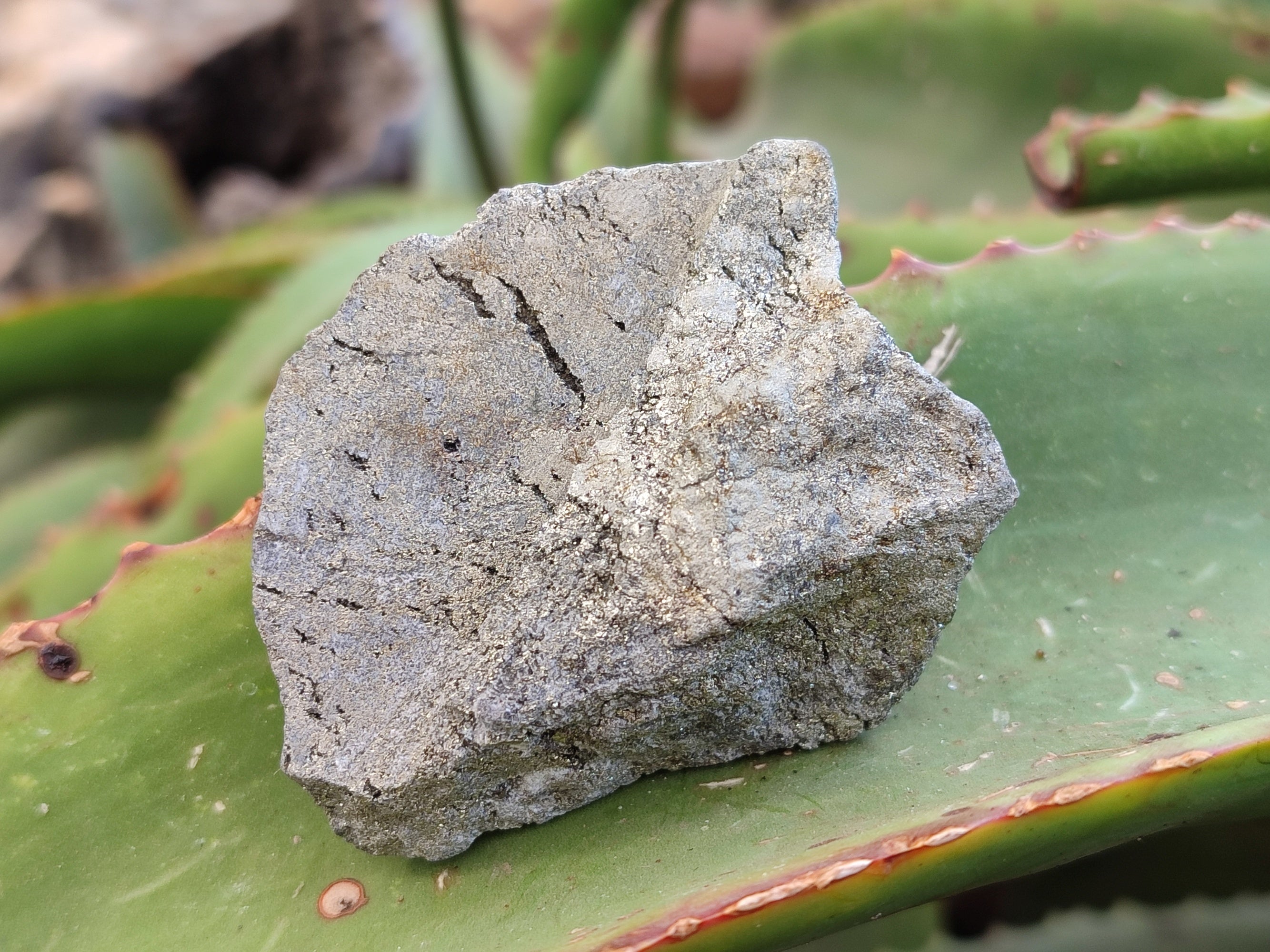 Natural Rare Pharaoh Stone Pyrite Cobbed Specimens x 35 From Iron Duke Mine, Zimbabwe - Toprock Gemstones and Minerals 