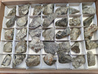 Natural Rare Pharaoh Stone Pyrite Cobbed Specimens x 35 From Iron Duke Mine, Zimbabwe - Toprock Gemstones and Minerals 