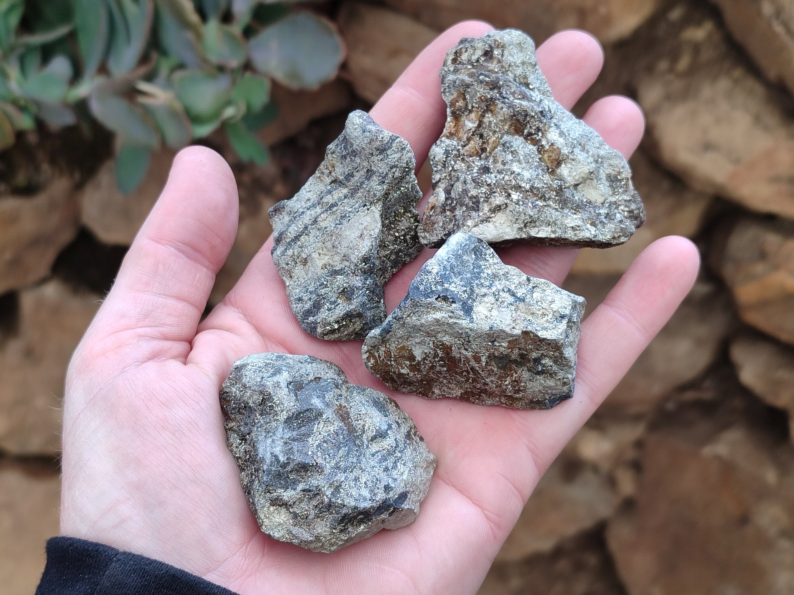 Natural Rare Pharaoh Stone Pyrite Cobbed Specimens x 35 From Iron Duke Mine, Zimbabwe - Toprock Gemstones and Minerals 