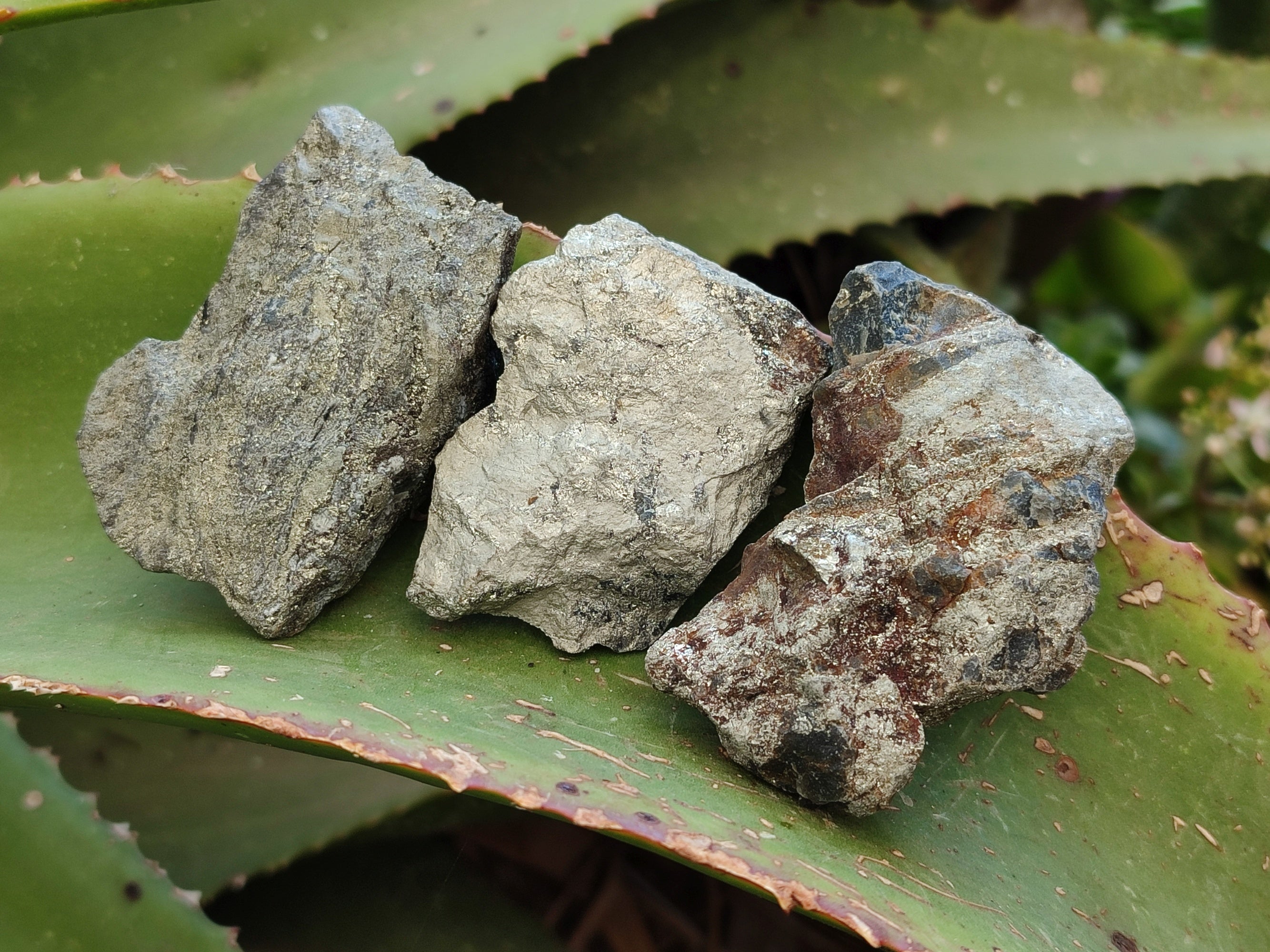Natural Rare Pharaoh Stone Pyrite Cobbed Specimens x 35 From Iron Duke Mine, Zimbabwe - Toprock Gemstones and Minerals 