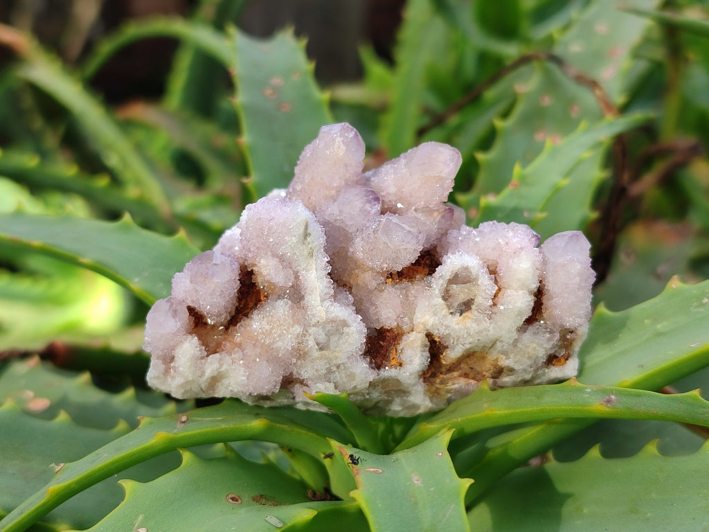 Natural Lilac and Ametrine Spirit Quartz Clusters x 20 From South Africa - Toprock Gemstones and Minerals 