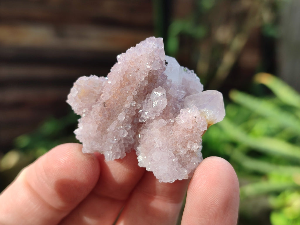 Natural Lilac and Ametrine Spirit Quartz Clusters x 20 From South Africa - Toprock Gemstones and Minerals 