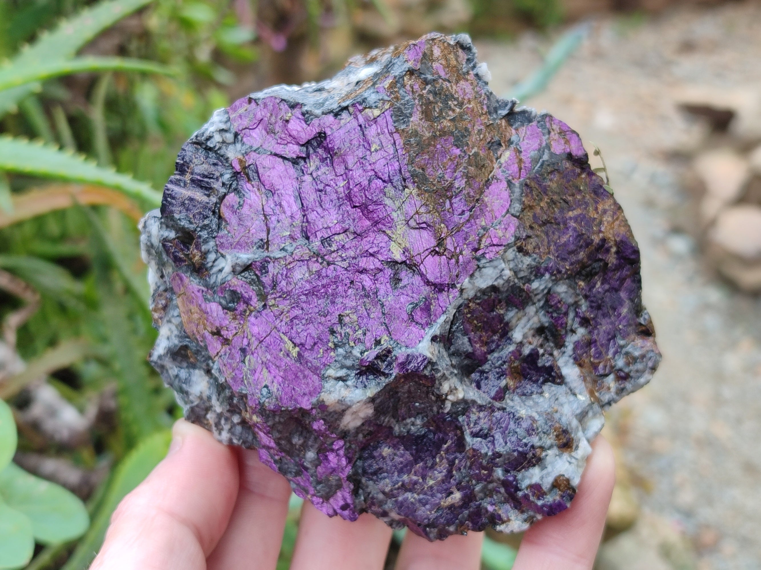 Natural Metallic Purpurite Cobbed Specimens x 4 From Erongo, Namibia - Toprock Gemstones and Minerals 