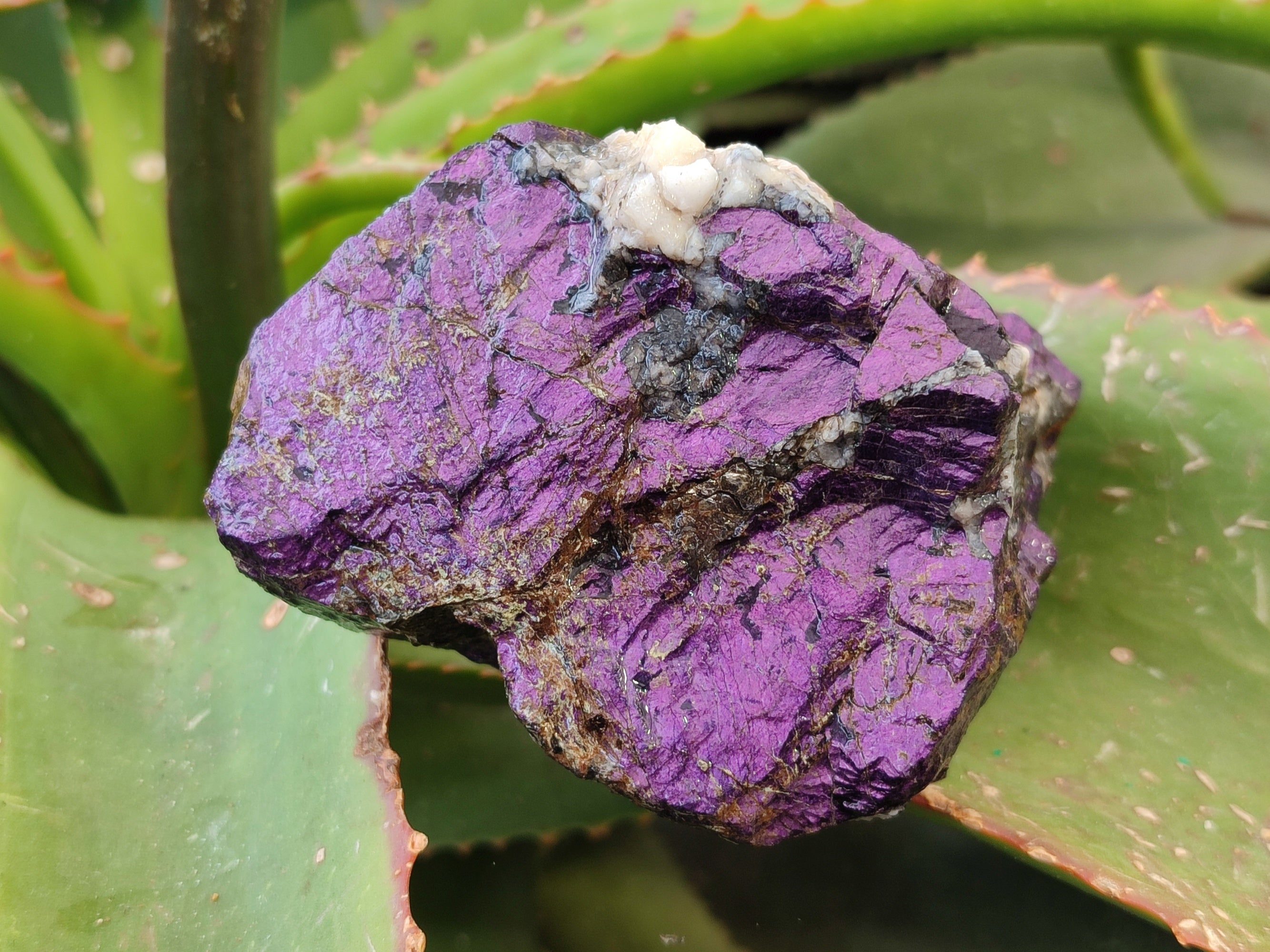 Natural Metallic Purpurite Cobbed Specimens x 4 From Erongo, Namibia - Toprock Gemstones and Minerals 