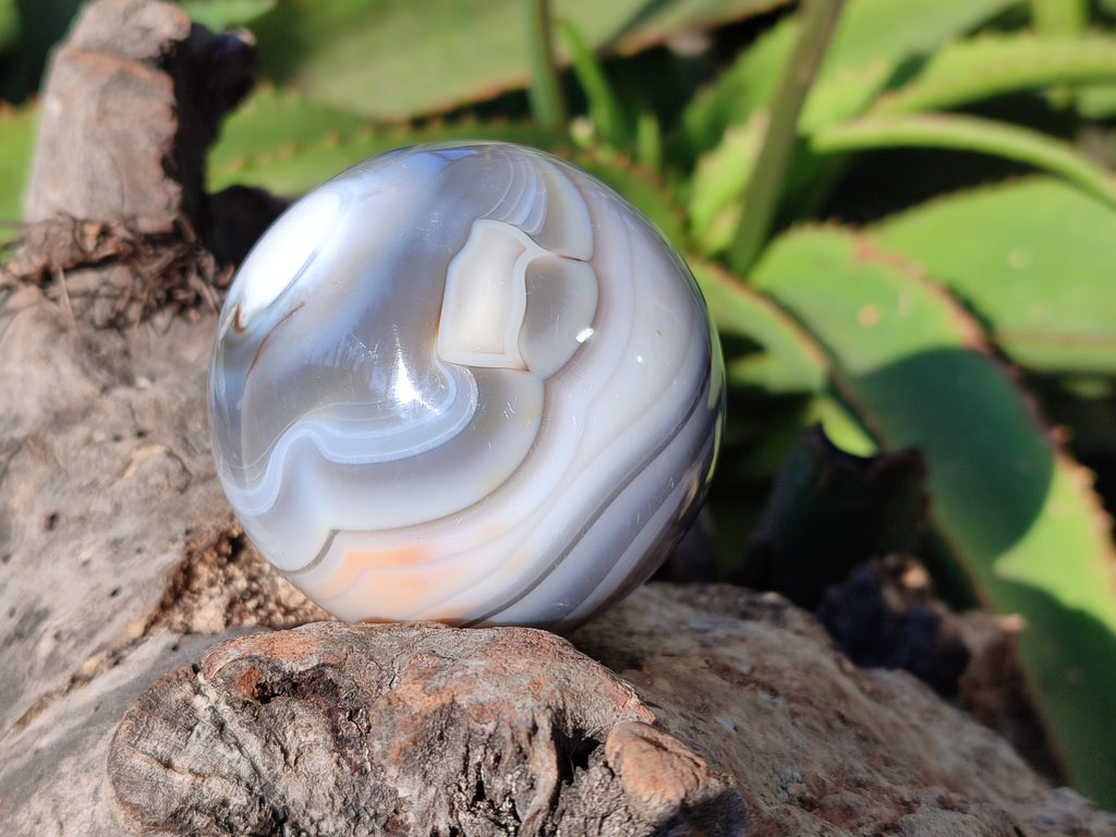 Polished Banded Agate Spheres x 4 From Madagascar - Toprock Gemstones and Minerals 