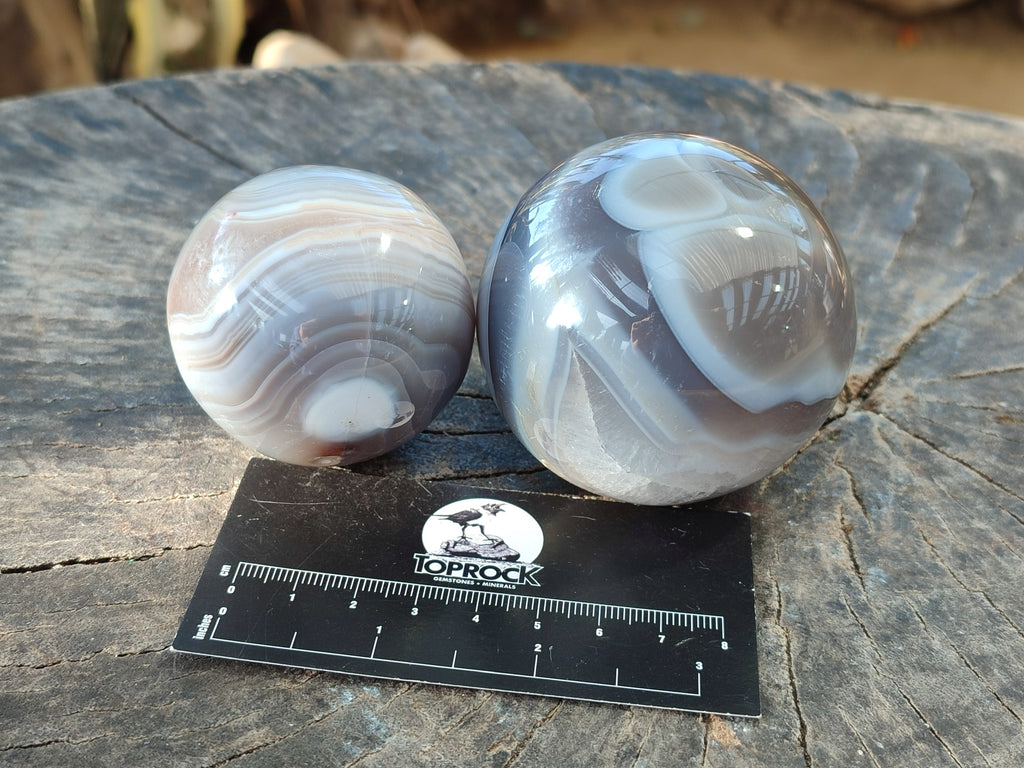 Polished Banded Agate Spheres x 4 From Madagascar - Toprock Gemstones and Minerals 