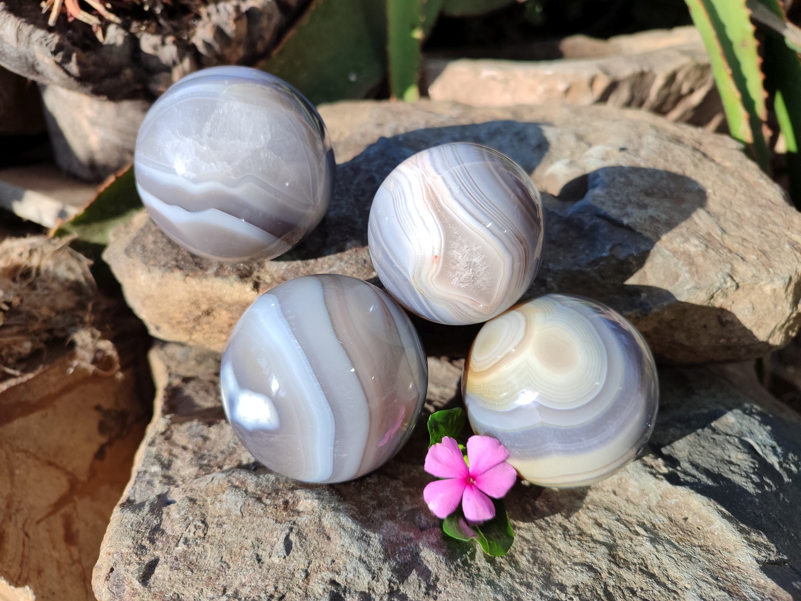 Polished Banded Agate Spheres x 4 From Madagascar - Toprock Gemstones and Minerals 
