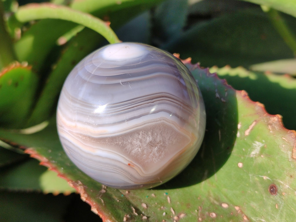 Polished Banded Agate Spheres x 4 From Madagascar - Toprock Gemstones and Minerals 