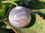 Polished Banded Agate Spheres x 4 From Madagascar - Toprock Gemstones and Minerals 