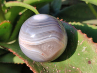 Polished Banded Agate Spheres x 4 From Madagascar
