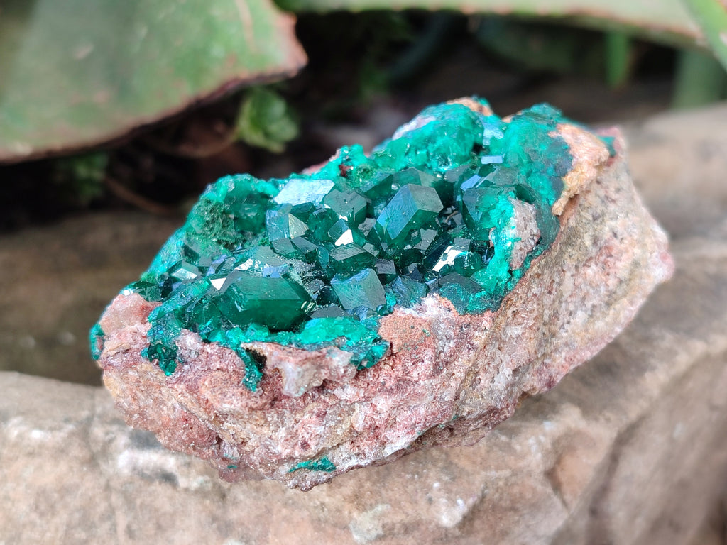 Natural Dioptase On Dolomite Specimens x 3 From Likasi, Congo - Toprock Gemstones and Minerals 