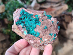 Natural Dioptase On Dolomite Specimens x 3 From Likasi, Congo - Toprock Gemstones and Minerals 