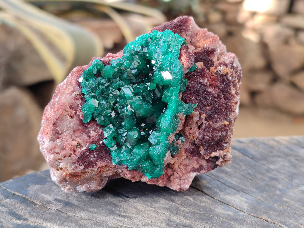 Natural Dioptase On Dolomite Specimens x 3 From Likasi, Congo - Toprock Gemstones and Minerals 