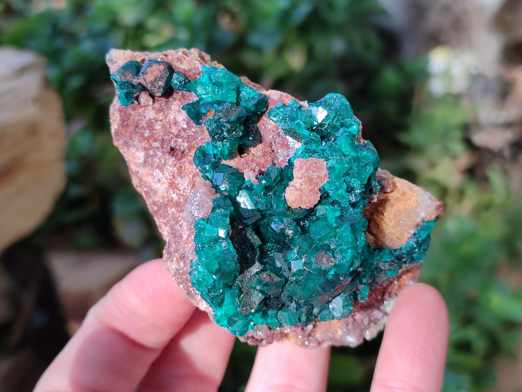 Natural Dioptase On Dolomite Specimens x 3 From Likasi, Congo - Toprock Gemstones and Minerals 