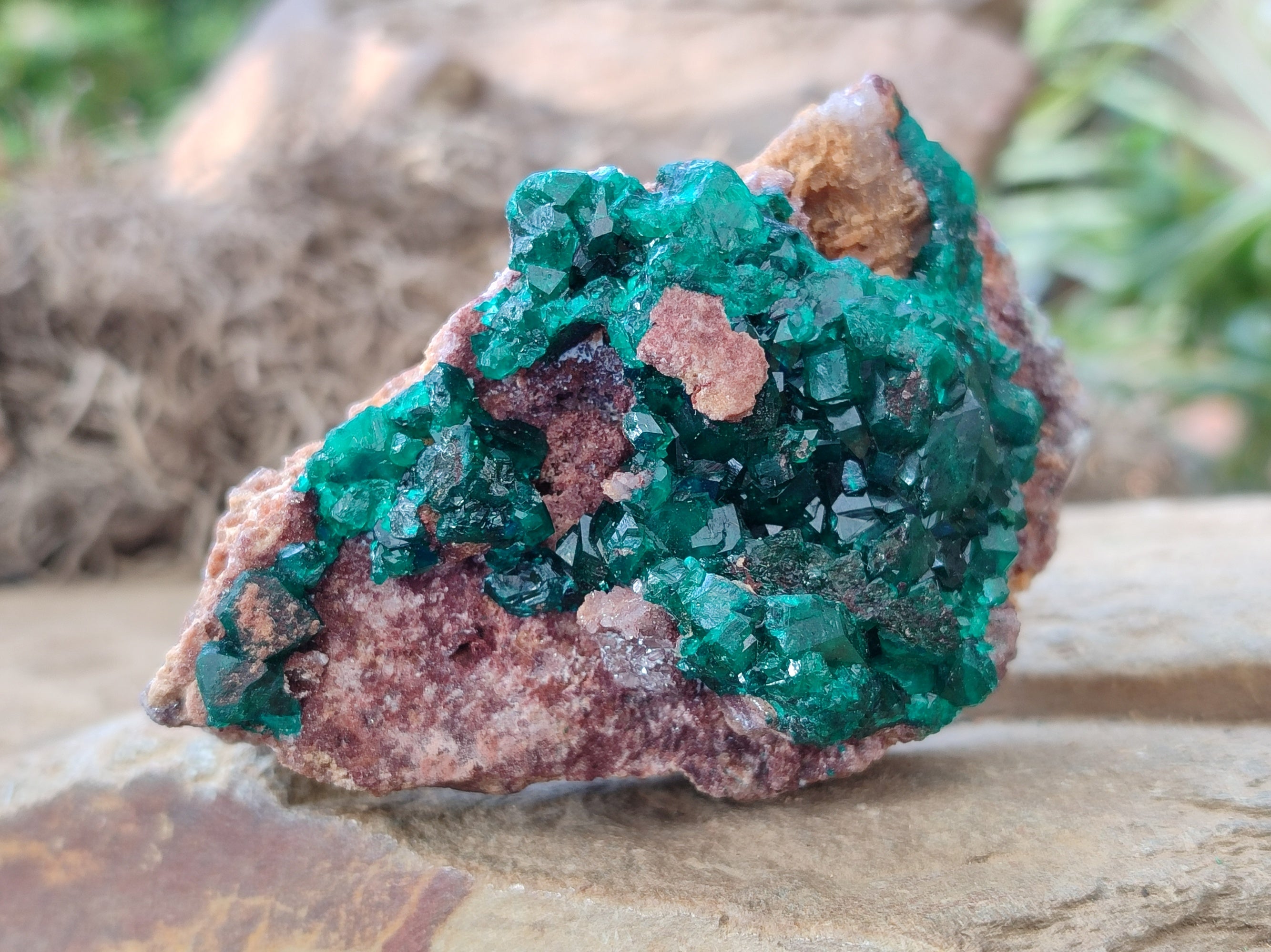 Natural Dioptase On Dolomite Specimens x 3 From Likasi, Congo - Toprock Gemstones and Minerals 