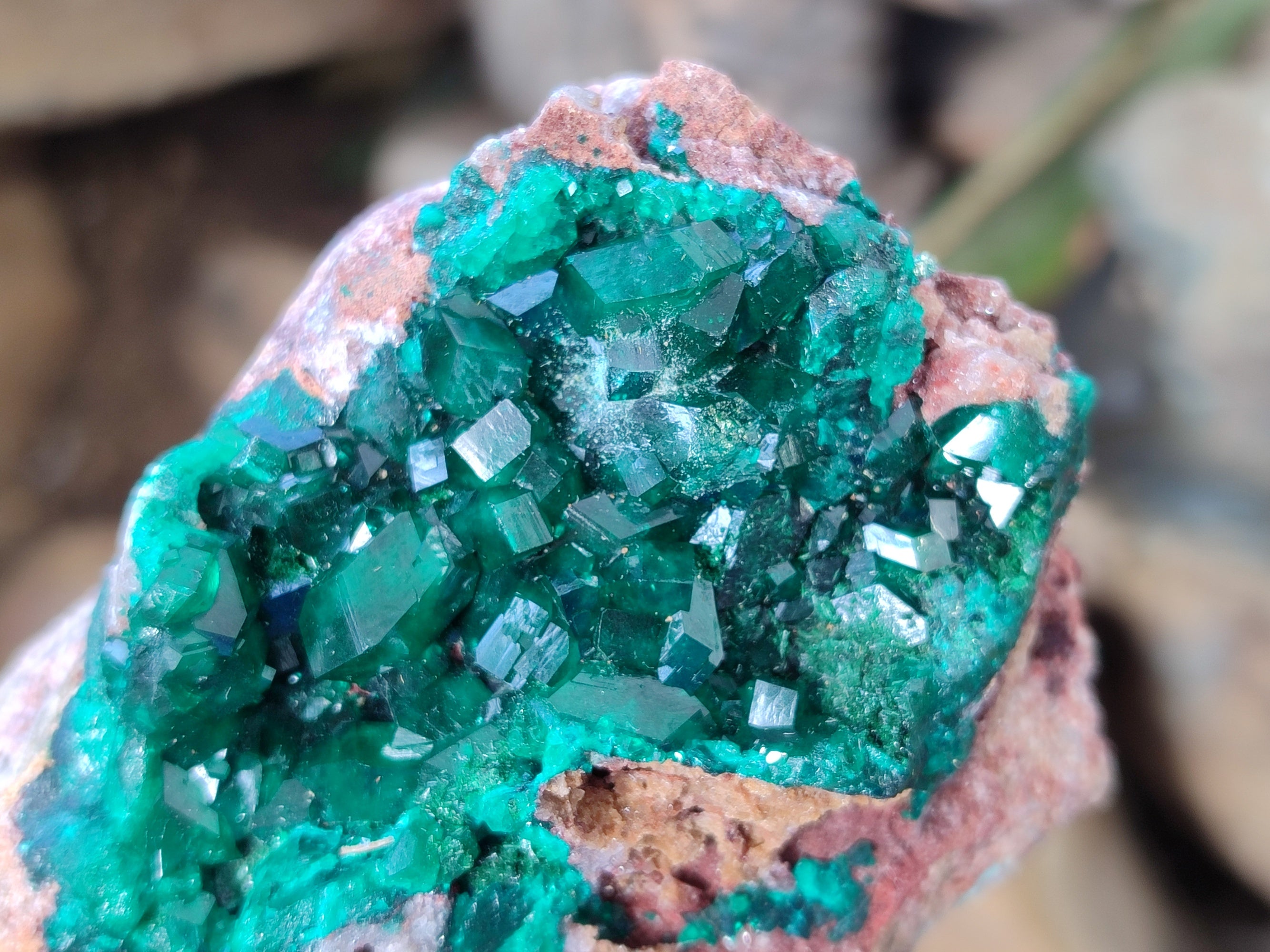Natural Dioptase On Dolomite Specimens x 3 From Likasi, Congo - Toprock Gemstones and Minerals 