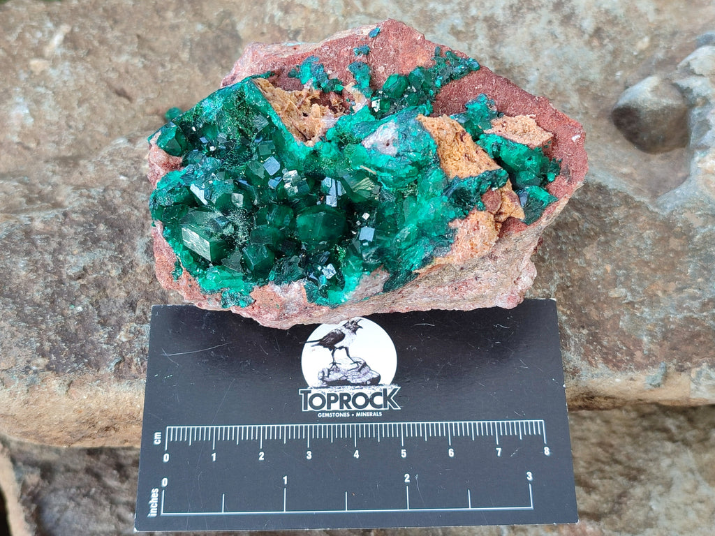 Natural Dioptase On Dolomite Specimens x 3 From Likasi, Congo - Toprock Gemstones and Minerals 