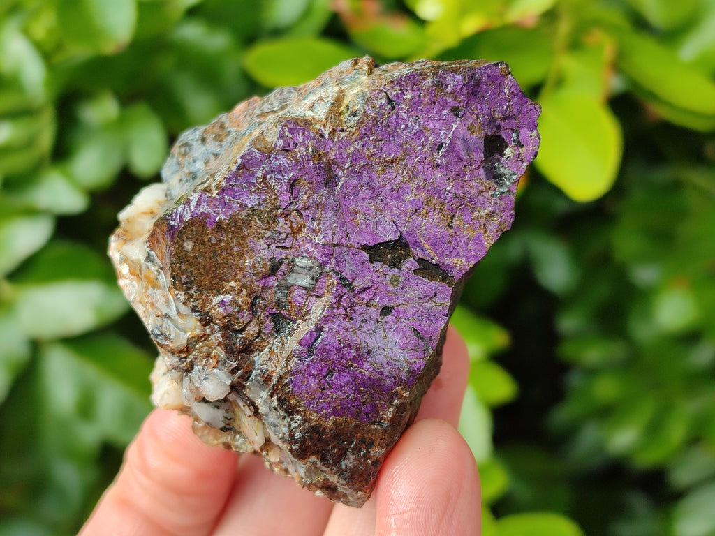 Natural Metallic Purpurite Cobbed Specimens x 17 From Erongo, Namibia - Toprock Gemstones and Minerals 