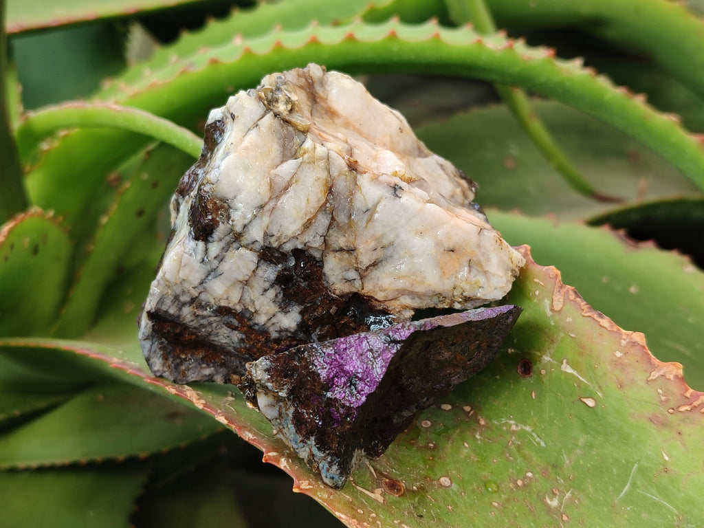 Natural Metallic Purpurite Cobbed Specimens x 17 From Erongo, Namibia - Toprock Gemstones and Minerals 
