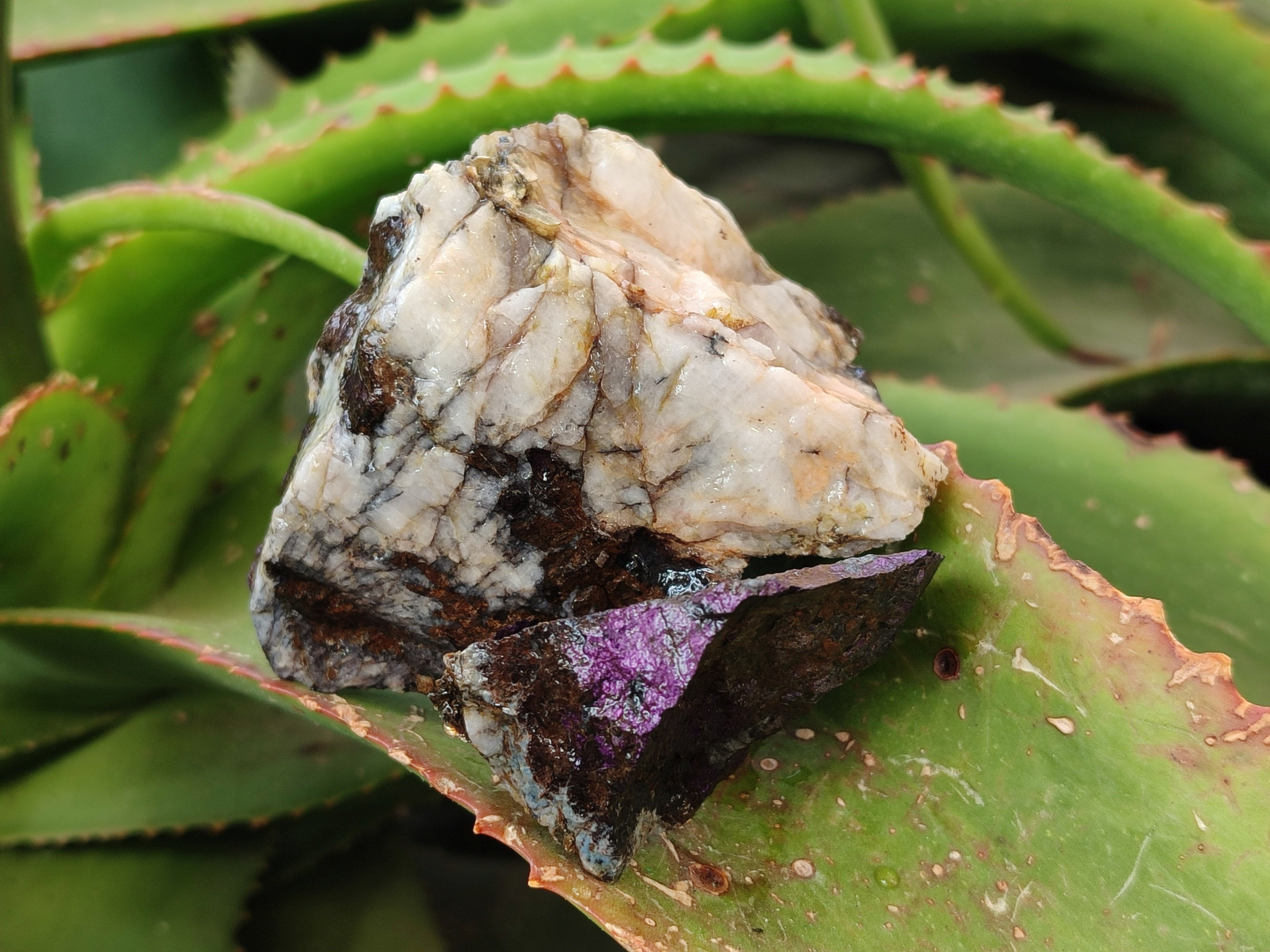 Natural Metallic Purpurite Cobbed Specimens x 17 From Erongo, Namibia - Toprock Gemstones and Minerals 