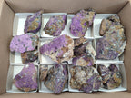 Natural Metallic Purpurite Cobbed Specimens x 17 From Erongo, Namibia - Toprock Gemstones and Minerals 
