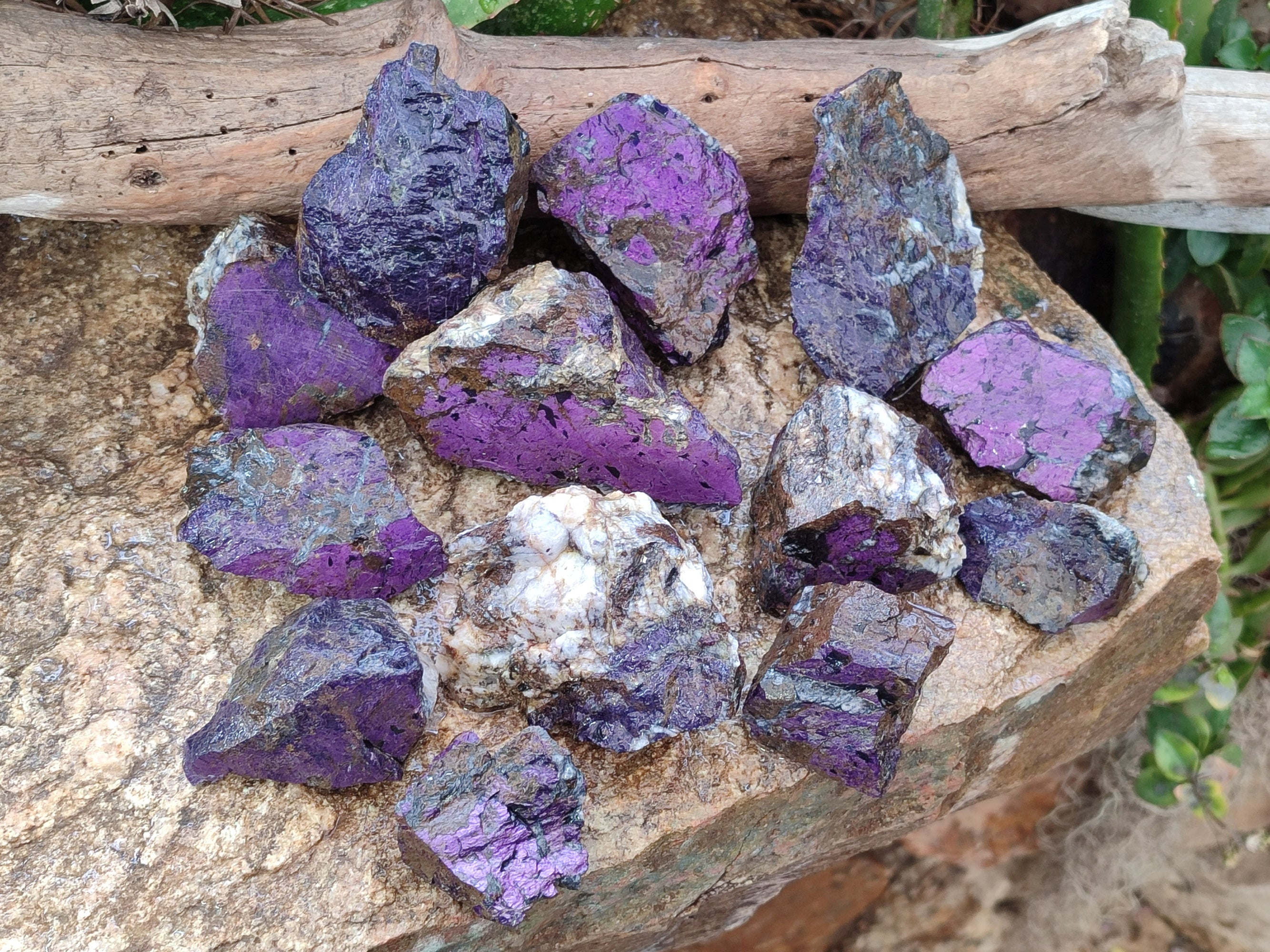 Natural Metallic Purpurite Cobbed Specimens x 17 From Erongo, Namibia - Toprock Gemstones and Minerals 