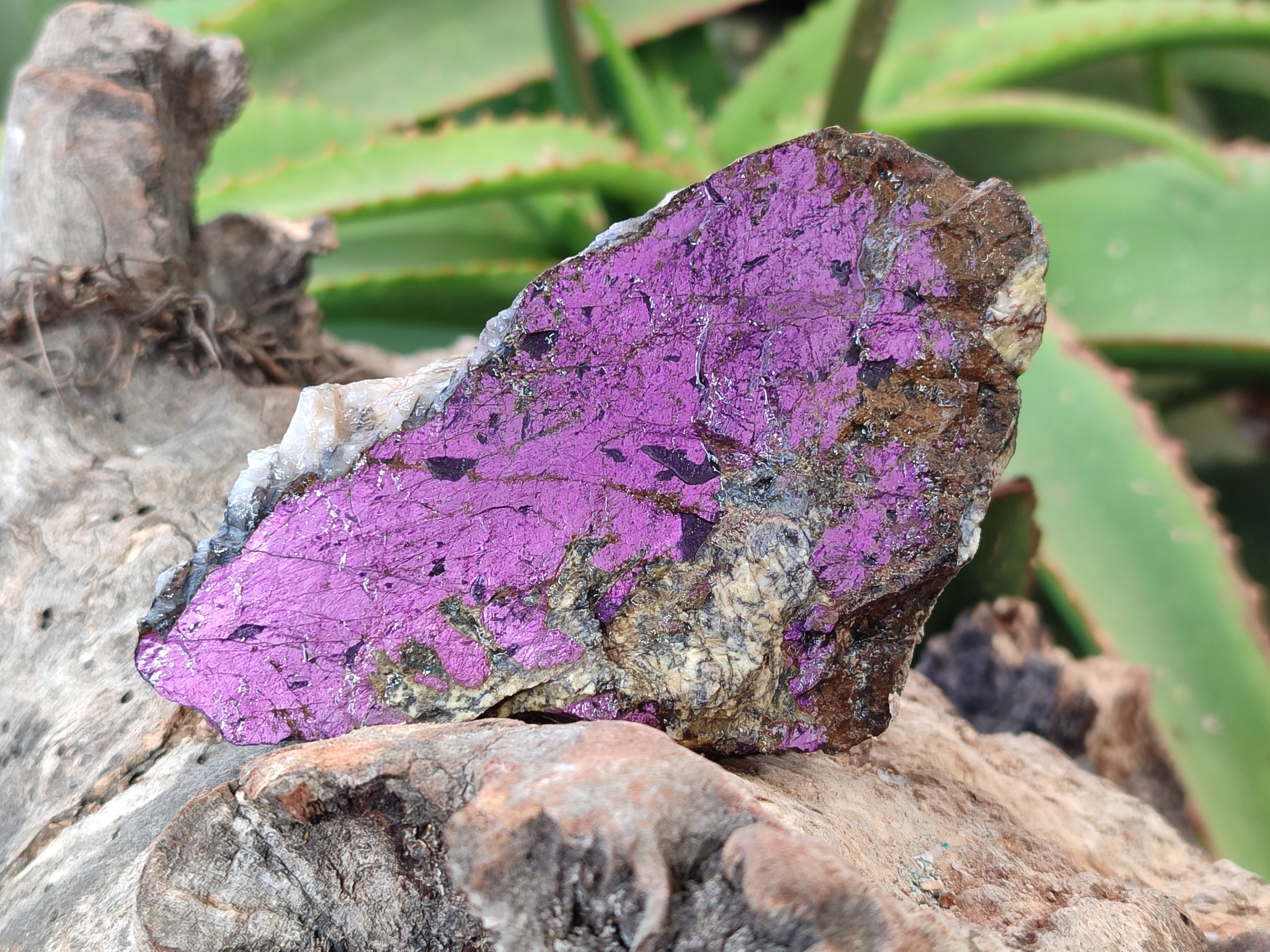 Natural Metallic Purpurite Cobbed Specimens x 17 From Erongo, Namibia - Toprock Gemstones and Minerals 