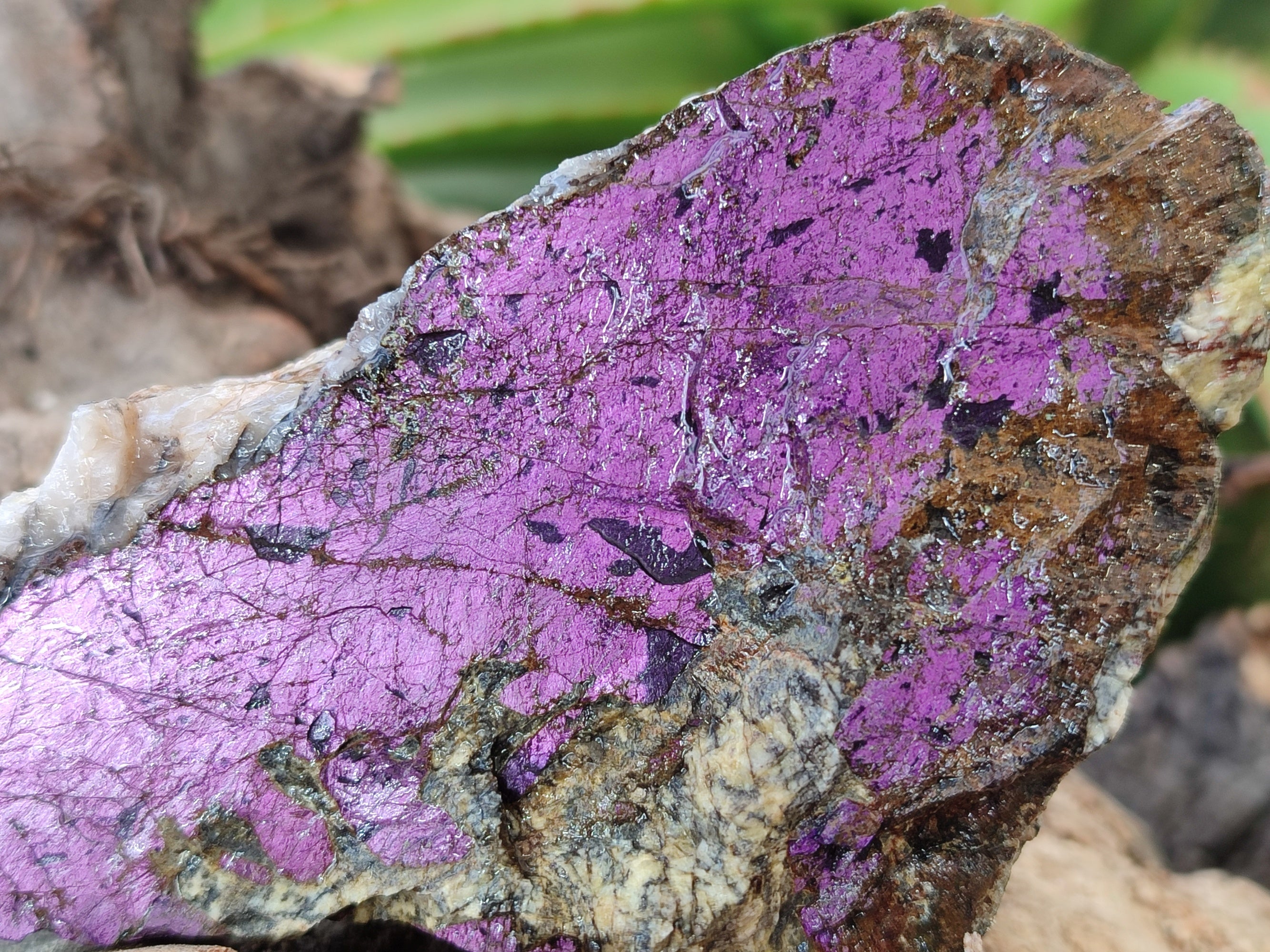 Natural Metallic Purpurite Cobbed Specimens x 17 From Erongo, Namibia - Toprock Gemstones and Minerals 