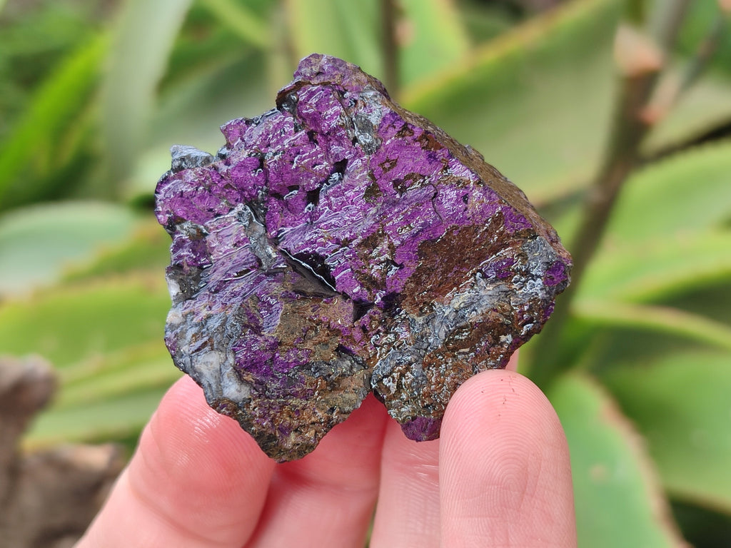 Natural Metallic Purpurite Cobbed Specimens x 17 From Erongo, Namibia - Toprock Gemstones and Minerals 