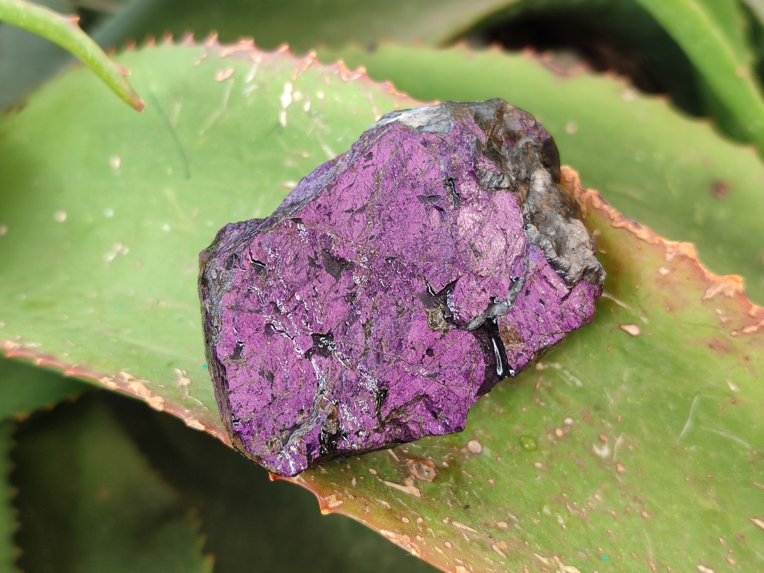 Natural Metallic Purpurite Cobbed Specimens x 17 From Erongo, Namibia - Toprock Gemstones and Minerals 