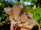 Natural Smokey Phantom Quartz Cluster x 1 From Luena, Congo - Toprock Gemstones and Minerals 