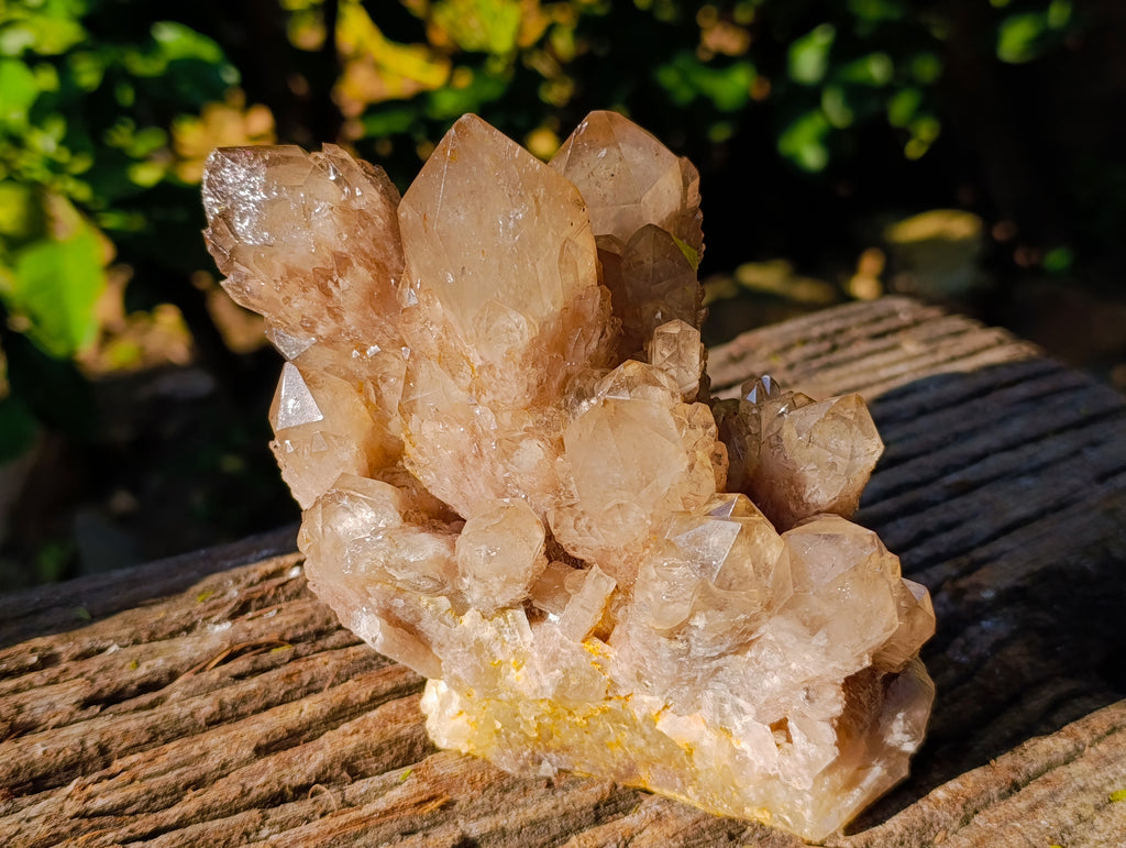 Natural Smokey Phantom Quartz Cluster x 1 From Luena, Congo - Toprock Gemstones and Minerals 
