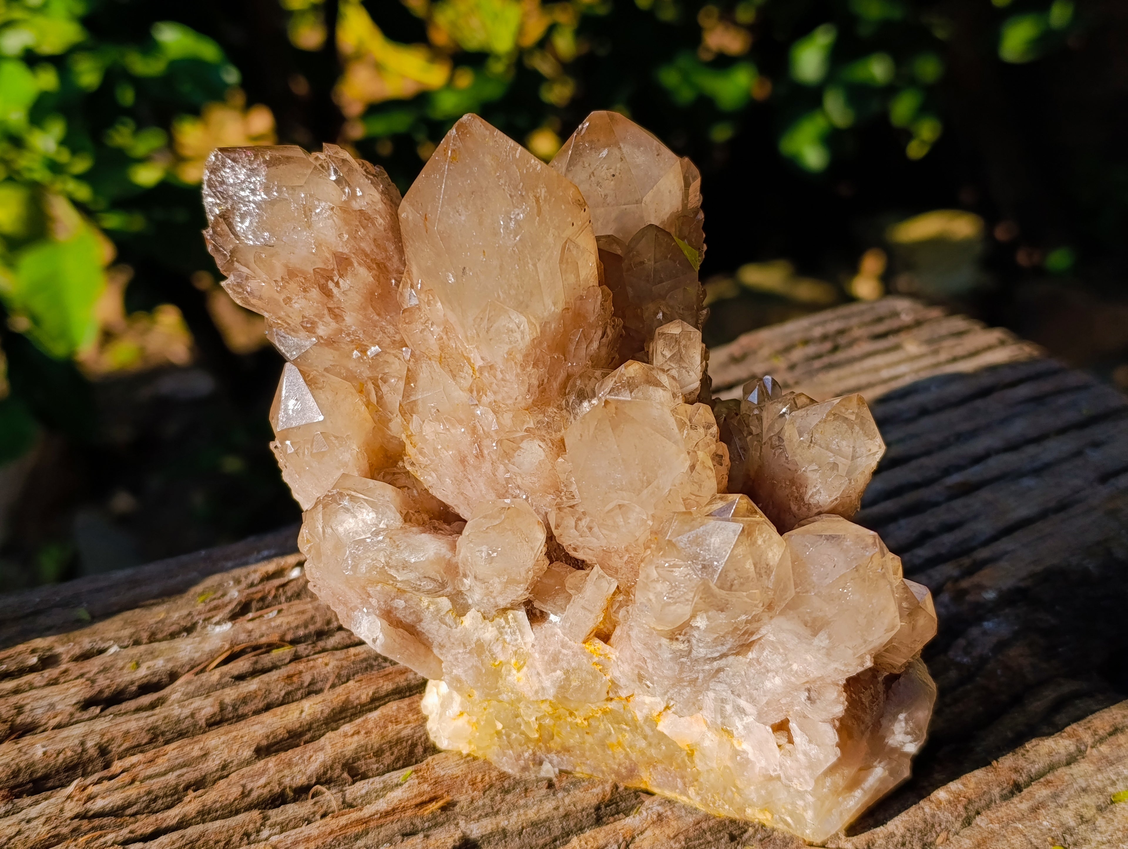 Natural Smokey Phantom Quartz Cluster x 1 From Luena, Congo - Toprock Gemstones and Minerals 