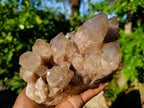 Natural Smokey Phantom Quartz Cluster x 1 From Luena, Congo - Toprock Gemstones and Minerals 