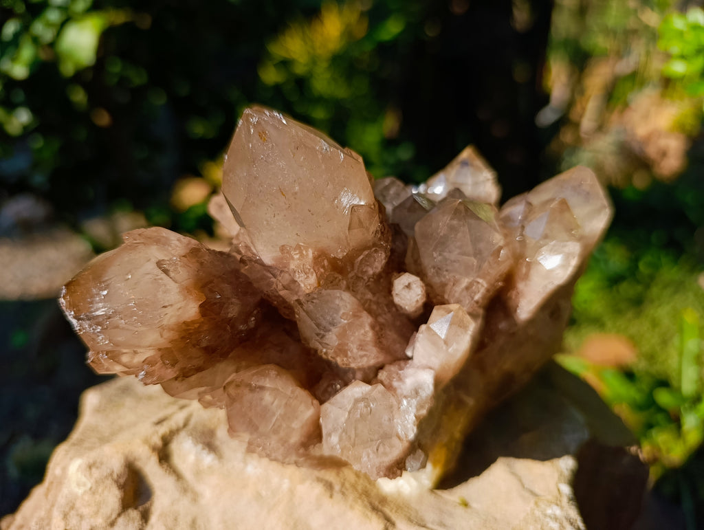 Natural Smokey Phantom Quartz Cluster x 1 From Luena, Congo - Toprock Gemstones and Minerals 