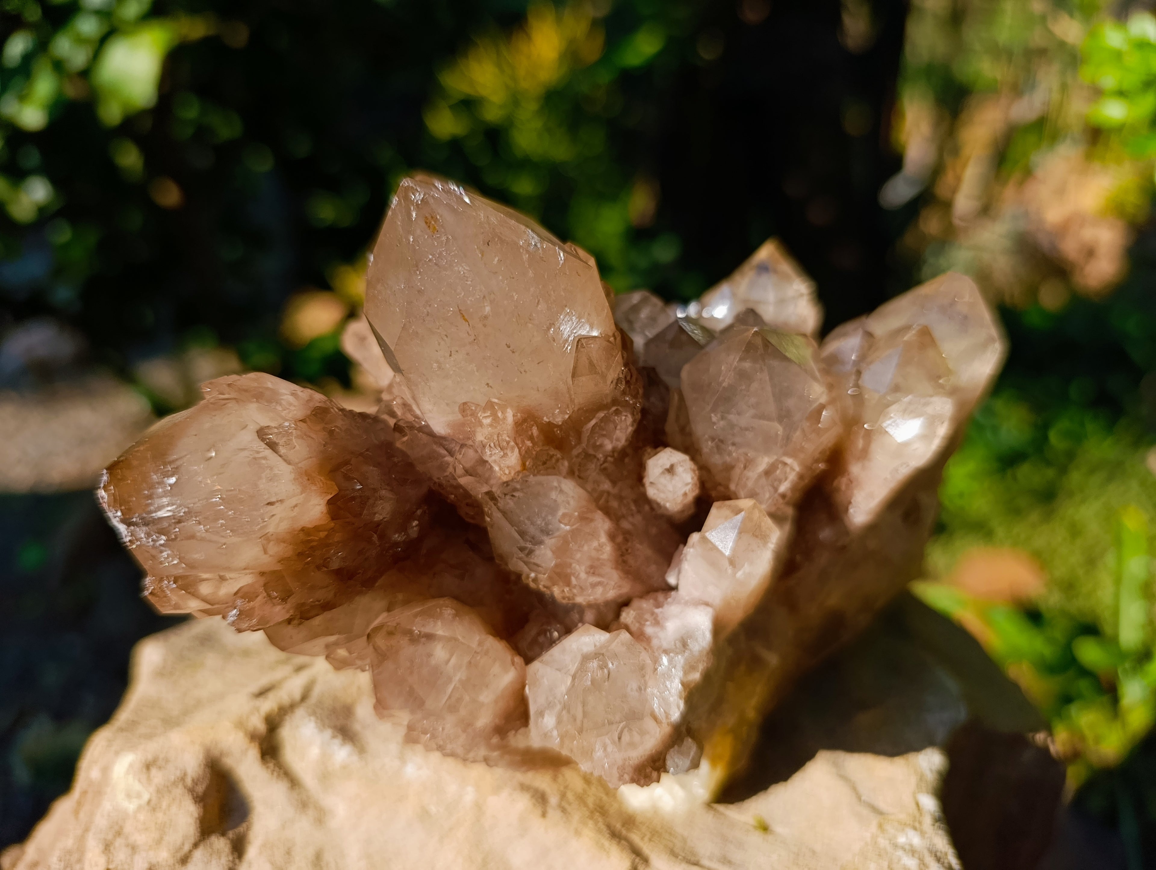 Natural Smokey Phantom Quartz Cluster x 1 From Luena, Congo - Toprock Gemstones and Minerals 
