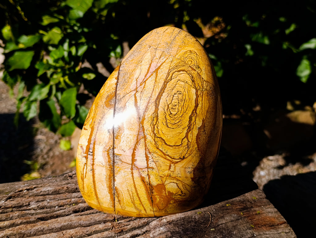 Polished Picture Stone Jasper Standing Free Form x 1 From Ais-Ais, Namibia - Toprock Gemstones and Minerals 