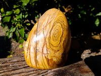 Polished Picture Stone Jasper Standing Free Form x 1 From Ais-Ais, Namibia - Toprock Gemstones and Minerals 