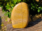 Polished Picture Stone Jasper Standing Free Form x 1 From Ais-Ais, Namibia - Toprock Gemstones and Minerals 
