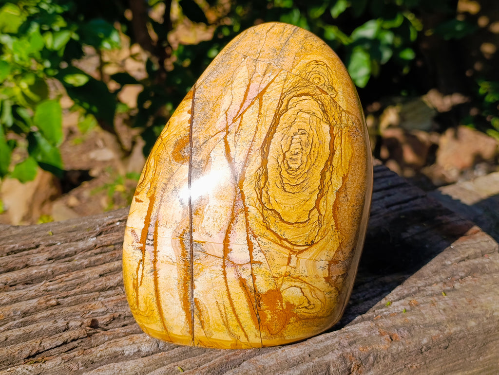 Polished Picture Stone Jasper Standing Free Form x 1 From Ais-Ais, Namibia - Toprock Gemstones and Minerals 
