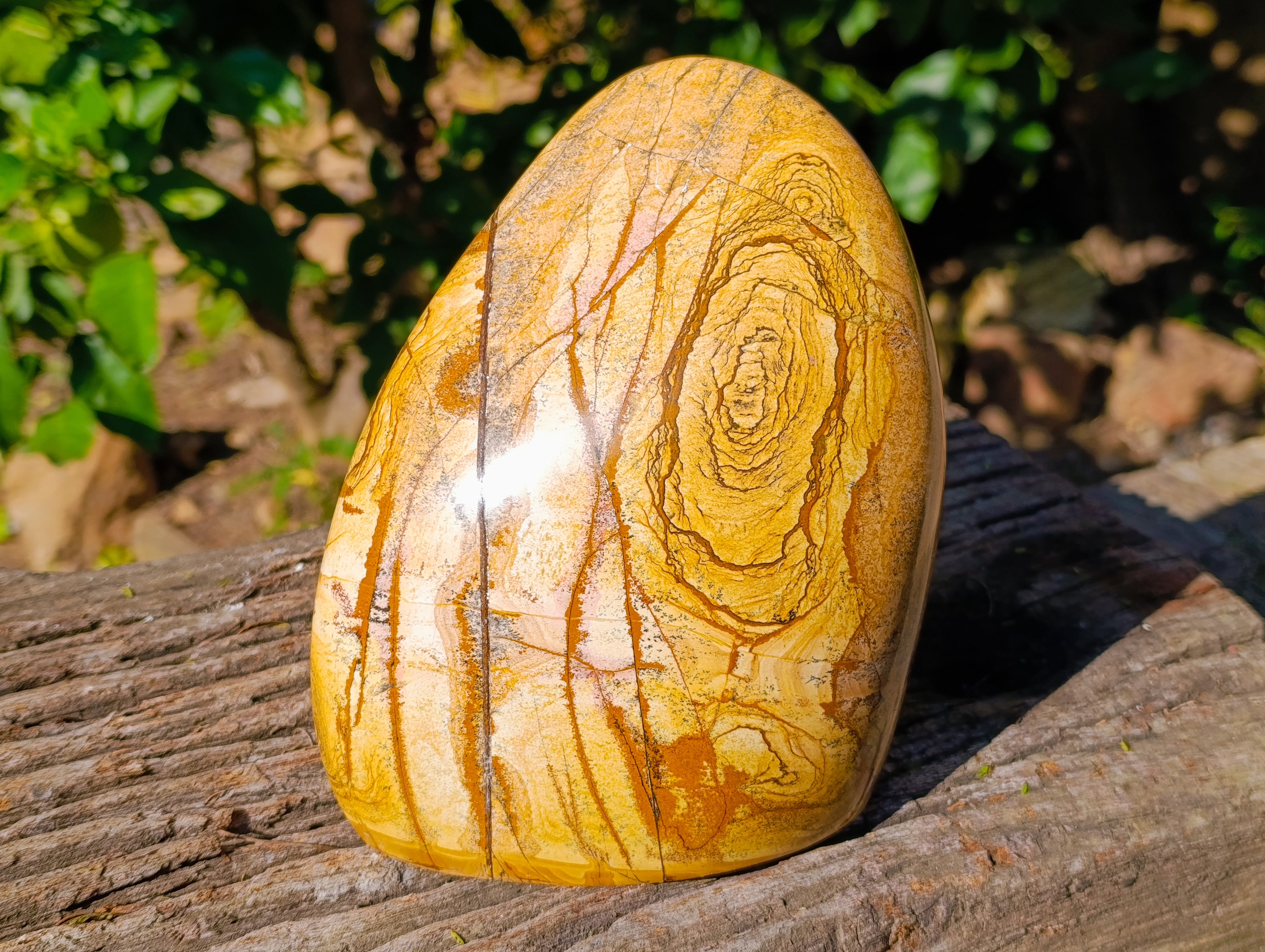 Polished Picture Stone Jasper Standing Free Form x 1 From Ais-Ais, Namibia - Toprock Gemstones and Minerals 