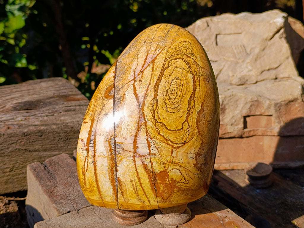 Polished Picture Stone Jasper Standing Free Form x 1 From Ais-Ais, Namibia - Toprock Gemstones and Minerals 
