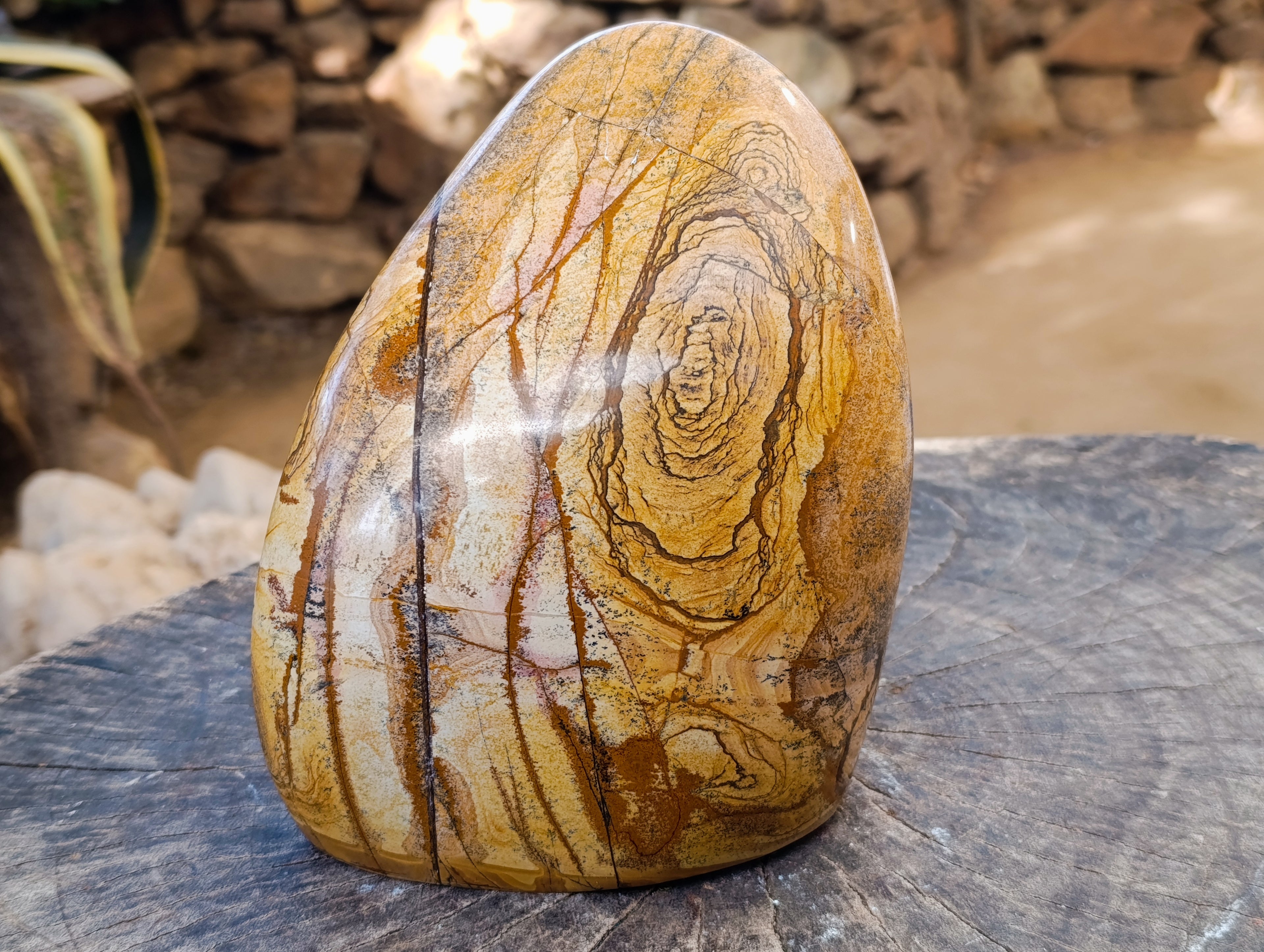 Polished Picture Stone Jasper Standing Free Form x 1 From Ais-Ais, Namibia - Toprock Gemstones and Minerals 