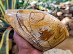 Polished Picture Stone Jasper Standing Free Form x 1 From Ais-Ais, Namibia - Toprock Gemstones and Minerals 