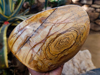 Polished Picture Stone Jasper Standing Free Form x 1 From Ais-Ais, Namibia - Toprock Gemstones and Minerals 