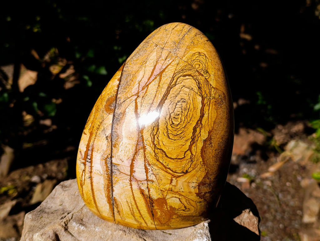 Polished Picture Stone Jasper Standing Free Form x 1 From Ais-Ais, Namibia - Toprock Gemstones and Minerals 