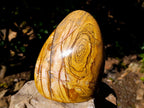 Polished Picture Stone Jasper Standing Free Form x 1 From Ais-Ais, Namibia - Toprock Gemstones and Minerals 