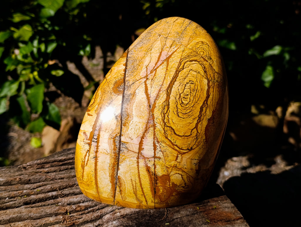 Polished Picture Stone Jasper Standing Free Form x 1 From Ais-Ais, Namibia - Toprock Gemstones and Minerals 